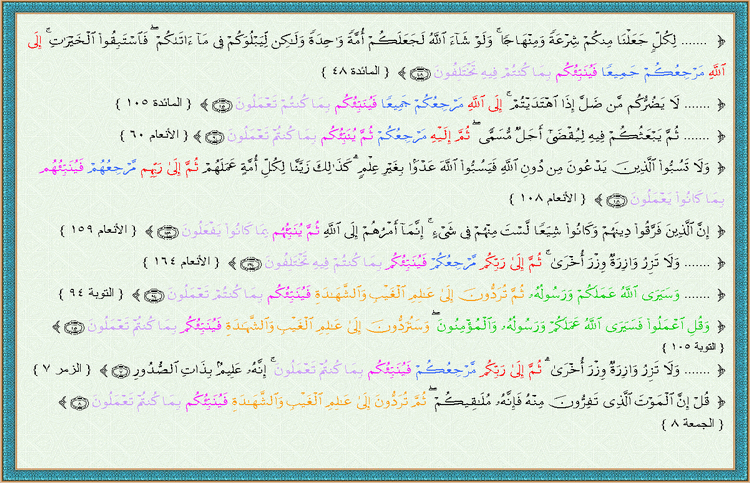 ���� ���� ������ �� ���� ������